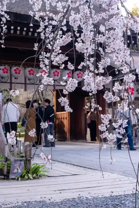 平野神社(京都府)