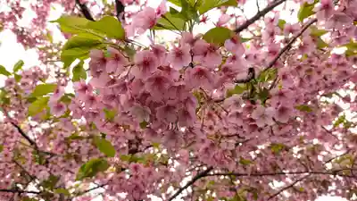 後白河院御聖蹟　法住寺(京都府)