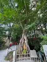 秩父今宮神社(埼玉県)