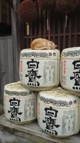 伊勢神宮内宮（皇大神宮）(三重県)