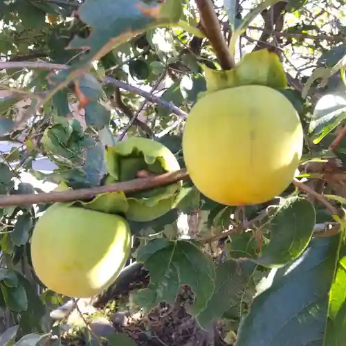七重浜海津見神社(北海道)