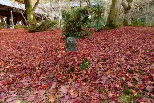 圓光寺の地蔵