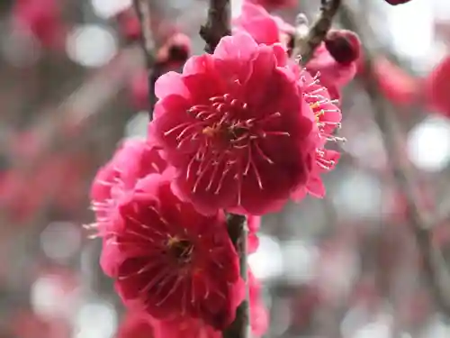石山寺(滋賀県)