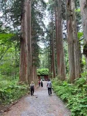戸隠神社九頭龍社(長野県)