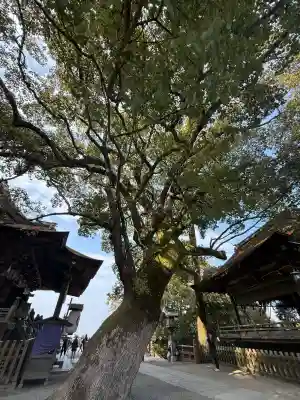 金刀比羅宮の{uncategorized: "未分類", other: "その他", undefined: "問題あり", building: "その他建物", grave: "お墓", sacred_gate: "鳥居", guardian: "狛犬", statue: "像", buddha: "仏像", history: "歴史", nature: "自然", garden: "庭園", animal: "動物", pagoda: "塔", temizu: "手水舎", mountain_gate: "山門・神門", sanctuary: "本殿・本堂", subordinate: "末社・摂社", art: "芸術", scenery: "景色", jizo: "地蔵", ema: "絵馬", goshuin: "御朱印", omikuji: "おみくじ", items: "授与品その他", amulet: "お守り", goshuincho: "御朱印帳", eats: "食事", festival: "お祭り", votive_dance: "神楽", shichigosan: "七五三参", wedding: "結婚式", experience: "体験その他", initially: "初詣", around: "周辺", anti_infection: "感染症対策"}