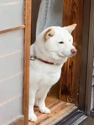宗忠神社(京都府)