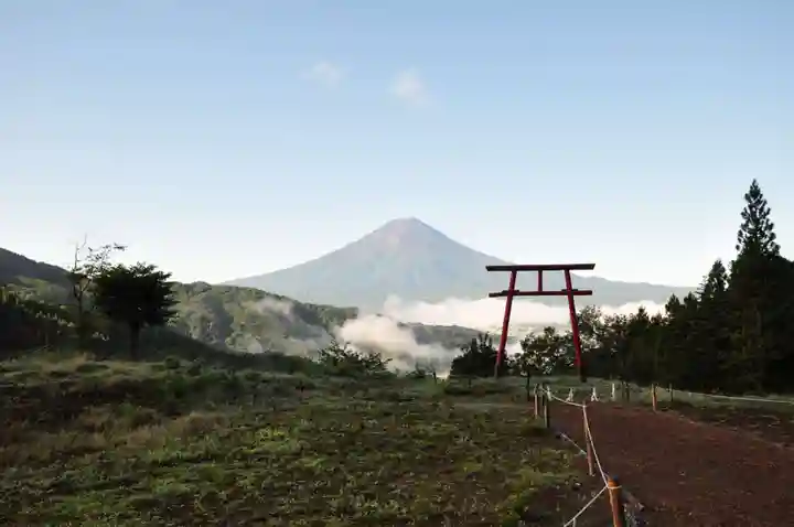 河口浅間神社の自然