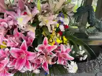 彌彦神社 (伊夜日子神社)の手水舎