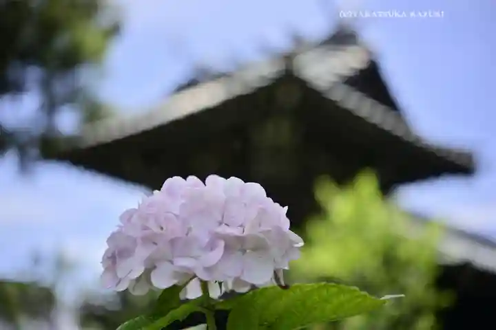 白山神社(東京都)
