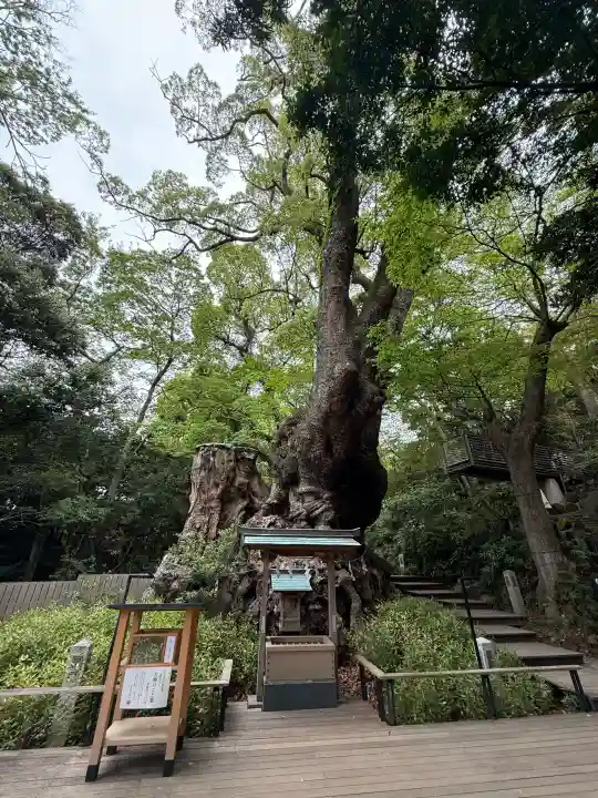 來宮神社の{uncategorized: "未分類", other: "その他", undefined: "問題あり", building: "その他建物", grave: "お墓", sacred_gate: "鳥居", guardian: "狛犬", statue: "像", buddha: "仏像", history: "歴史", nature: "自然", garden: "庭園", animal: "動物", pagoda: "塔", temizu: "手水舎", mountain_gate: "山門・神門", sanctuary: "本殿・本堂", subordinate: "末社・摂社", art: "芸術", scenery: "景色", jizo: "地蔵", ema: "絵馬", goshuin: "御朱印", omikuji: "おみくじ", items: "授与品その他", amulet: "お守り", goshuincho: "御朱印帳", eats: "食事", festival: "お祭り", votive_dance: "神楽", shichigosan: "七五三参", wedding: "結婚式", experience: "体験その他", initially: "初詣", around: "周辺", anti_infection: "感染症対策"}