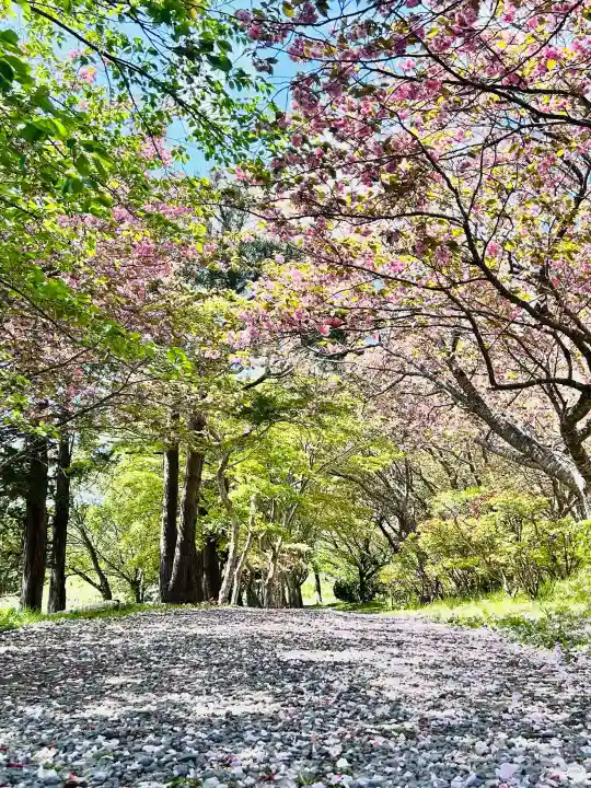 石崎地主海神社の{uncategorized: "未分類", other: "その他", undefined: "問題あり", building: "その他建物", grave: "お墓", sacred_gate: "鳥居", guardian: "狛犬", statue: "像", buddha: "仏像", history: "歴史", nature: "自然", garden: "庭園", animal: "動物", pagoda: "塔", temizu: "手水舎", mountain_gate: "山門・神門", sanctuary: "本殿・本堂", subordinate: "末社・摂社", art: "芸術", scenery: "景色", jizo: "地蔵", ema: "絵馬", goshuin: "御朱印", omikuji: "おみくじ", items: "授与品その他", amulet: "お守り", goshuincho: "御朱印帳", eats: "食事", festival: "お祭り", votive_dance: "神楽", shichigosan: "七五三参", wedding: "結婚式", experience: "体験その他", initially: "初詣", around: "周辺", anti_infection: "感染症対策"}