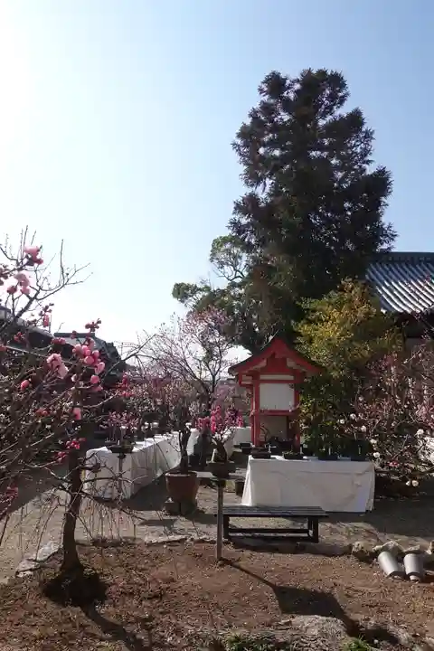 菅原天満宮(菅原神社)のその他建物