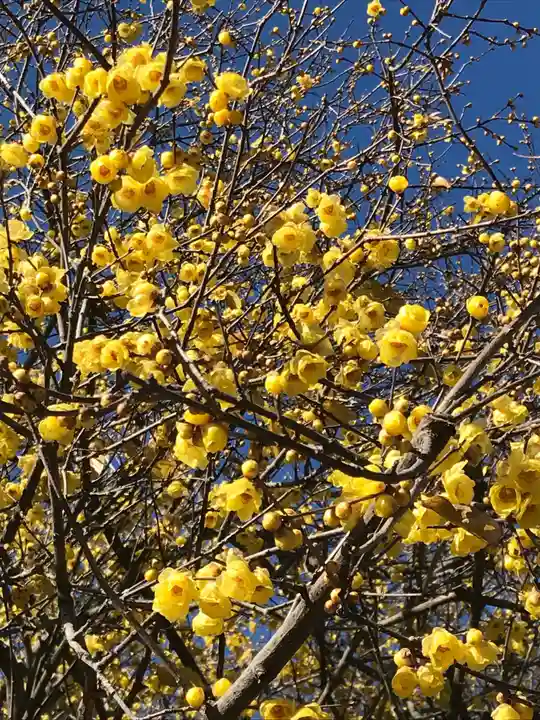 横浜 西方寺の自然