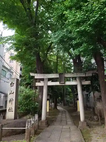 白山神社の鳥居