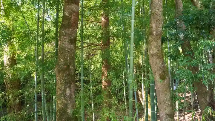 眞名井神社(籠神社奥宮)(京都府)