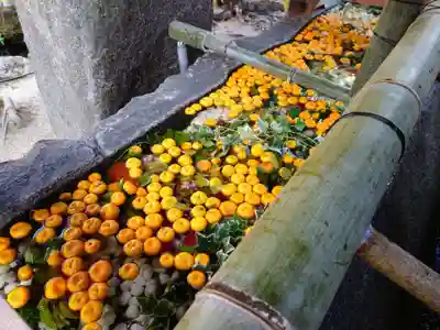 賀茂別雷神社（上賀茂神社）(京都府)