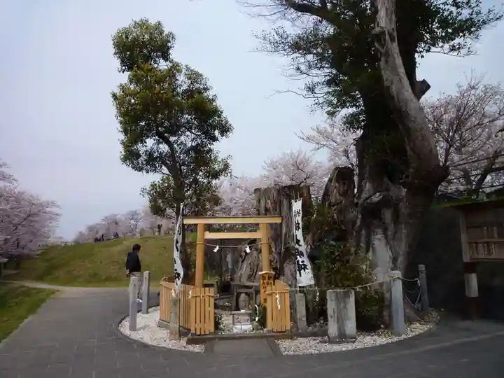 楠大明神(三重県)