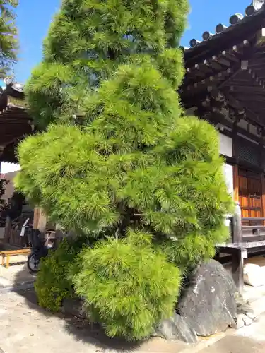 自性院(東京都)