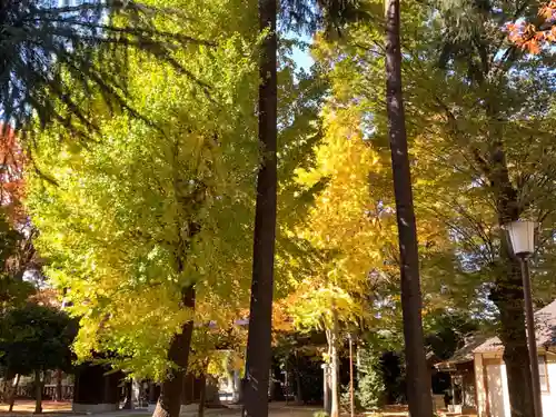 小野神社の自然