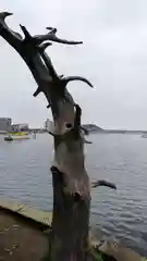 瀬戸神社の自然