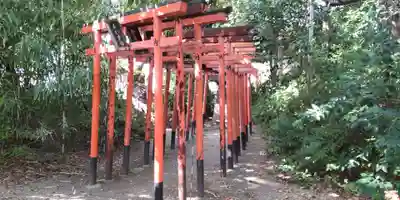 守部素盞嗚神社の鳥居