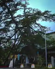 白山神社(新潟県)