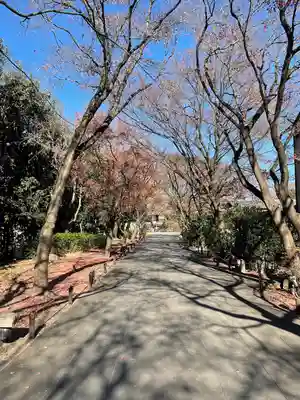 高円寺(東京都)