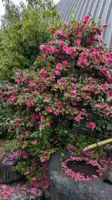 若宮宮(京都府)