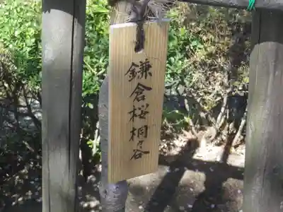 鶴岡八幡宮(神奈川県)