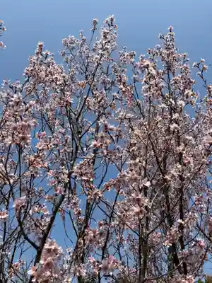浄瑠璃寺(京都府)