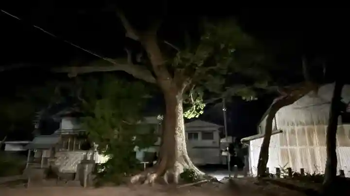 粟嶋神社 (徳島県)