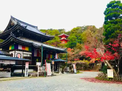 今熊野観音寺(京都府)