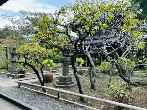 英勝寺(神奈川県)