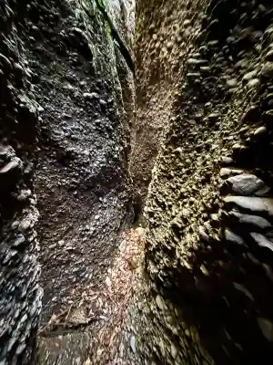 小笠神社の{uncategorized: "未分類", other: "その他", undefined: "問題あり", building: "その他建物", grave: "お墓", sacred_gate: "鳥居", guardian: "狛犬", statue: "像", buddha: "仏像", history: "歴史", nature: "自然", garden: "庭園", animal: "動物", pagoda: "塔", temizu: "手水舎", mountain_gate: "山門・神門", sanctuary: "本殿・本堂", subordinate: "末社・摂社", art: "芸術", scenery: "景色", jizo: "地蔵", ema: "絵馬", goshuin: "御朱印", omikuji: "おみくじ", items: "授与品その他", amulet: "お守り", goshuincho: "御朱印帳", eats: "食事", festival: "お祭り", votive_dance: "神楽", shichigosan: "七五三参", wedding: "結婚式", experience: "体験その他", initially: "初詣", around: "周辺", anti_infection: "感染症対策"}