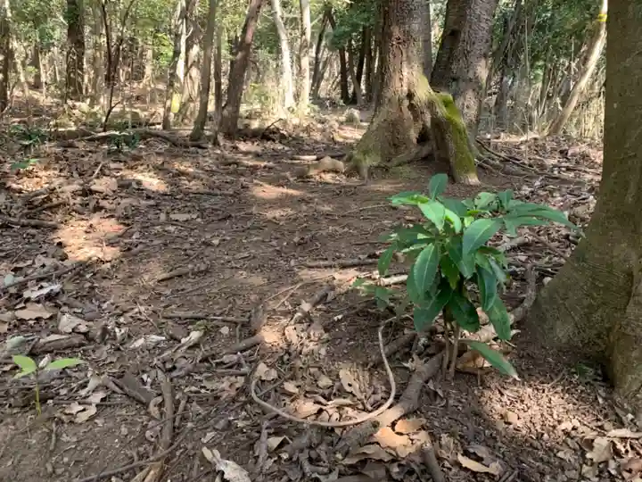 鉄杖山火守神社の自然