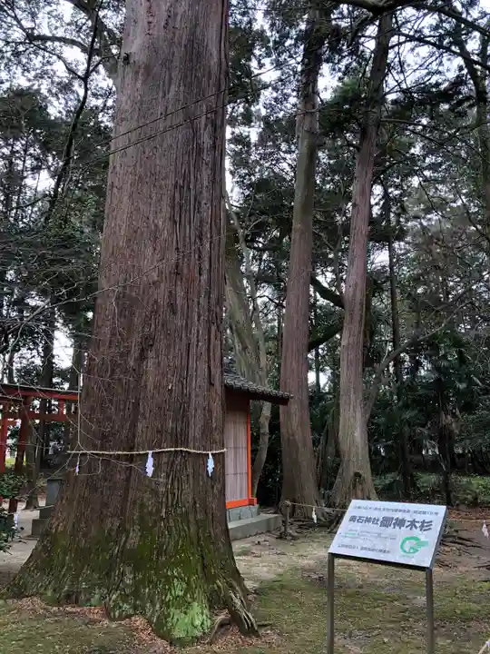 奥石神社の自然