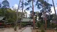 今宮神社の自然