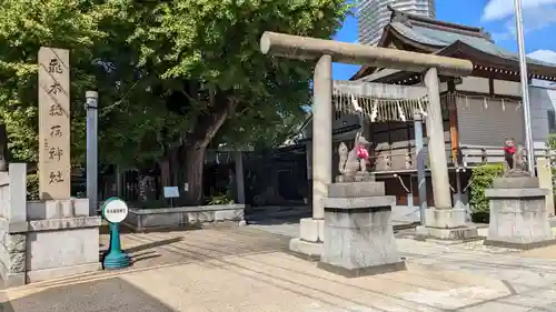 飛木稲荷神社の鳥居