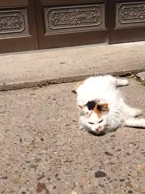 阿邪訶根神社(福島県)
