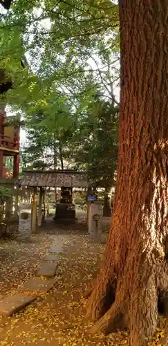 葛西神社(東京都)