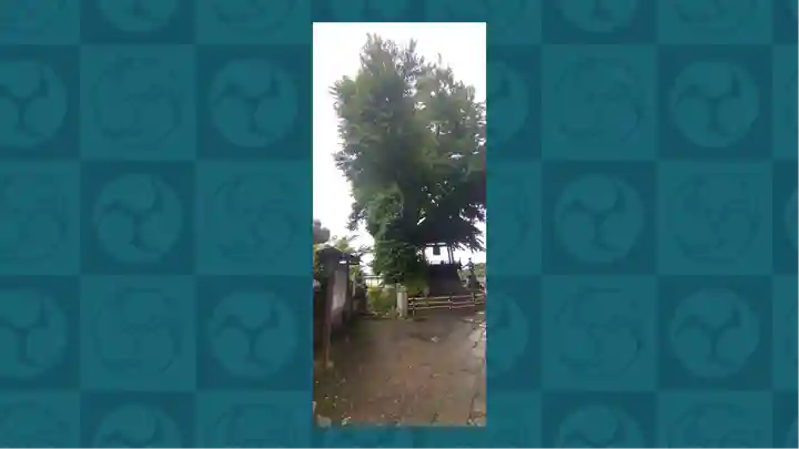 北向観音(長野県)