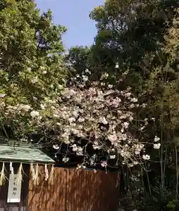 比佐豆知神社(三重県)(2023年04月13日(木) 09時53分09秒投稿)