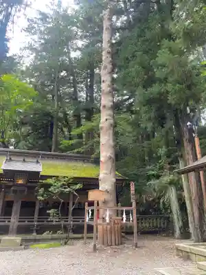 諏訪大社下社春宮(長野県)