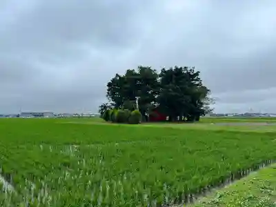 南宮神社(宮城県)