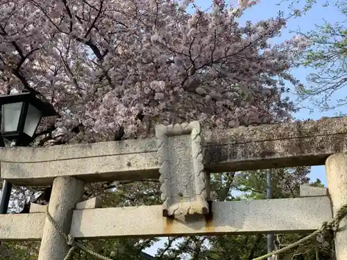 譽田八幡神社のその他建物