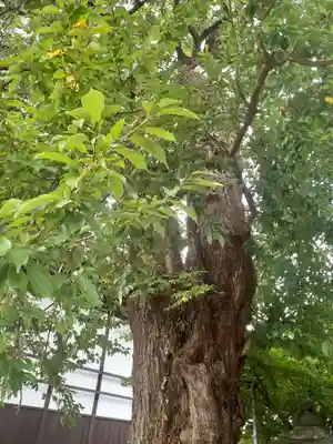 永泉寺(岩手県)