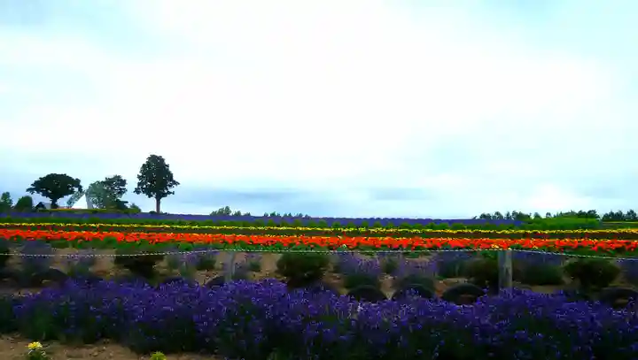 美沢神社の周辺