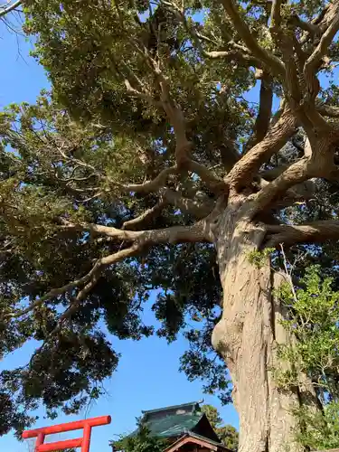 鏡峯神社の自然
