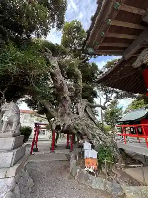 高塚熊野神社(静岡県)