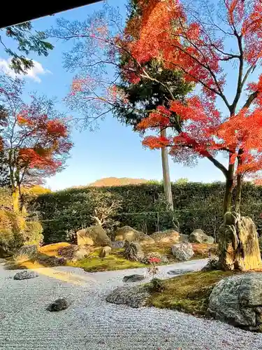 真正極楽寺（真如堂）の庭園